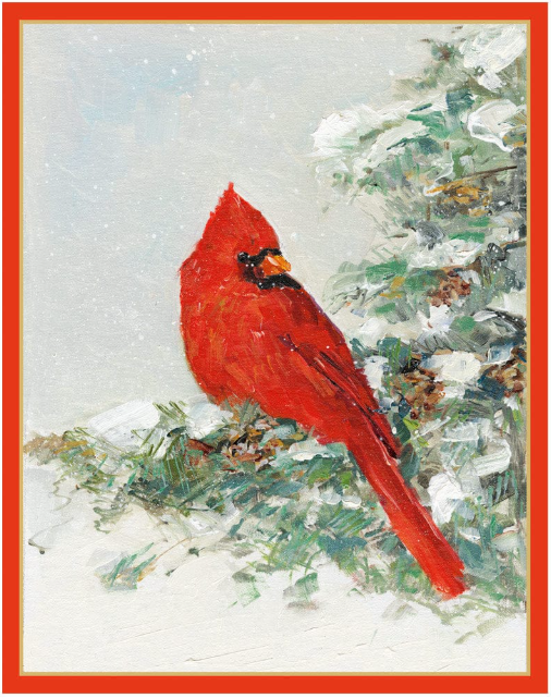 Cardinal And Evergreen Petite Boxed Christmas Cards - includes 15 cards & envelopes