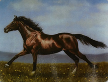 Load image into Gallery viewer, Cutting Board 12in x 16in-Running Thoroughbred