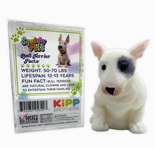 Load image into Gallery viewer, So Much Fun! Squishy Pets Keepsake