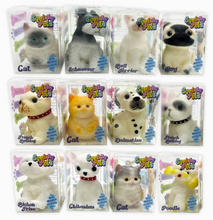 Load image into Gallery viewer, So Much Fun! Squishy Pets Keepsake