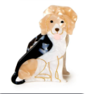 Load image into Gallery viewer, Best Friend Dog Claw Clip