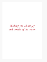Load image into Gallery viewer, Chickadees in the Snow Small Boxed Holiday Cards