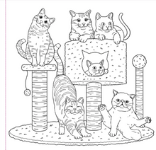 Load image into Gallery viewer, Cute and Curious Cats Adult Coloring Book