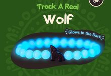 Load image into Gallery viewer, The Scout Bracelet - Wolf