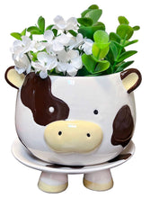 Load image into Gallery viewer, Brown Cow Footsie Planter