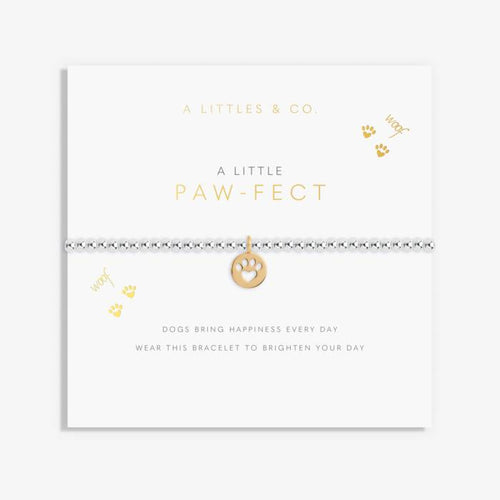 A Little 'Pawfect' Bracelet