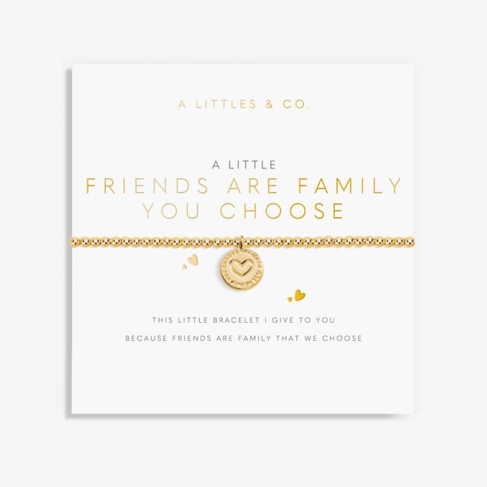 A Little 'Friends Are Family You Choose' Bracelet