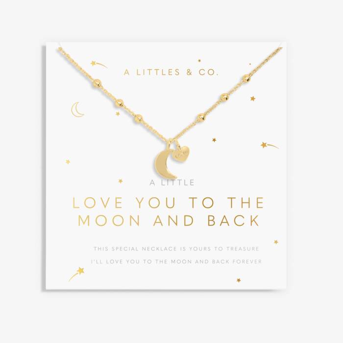 A Little 'Love You To The Moon And Back' Necklace