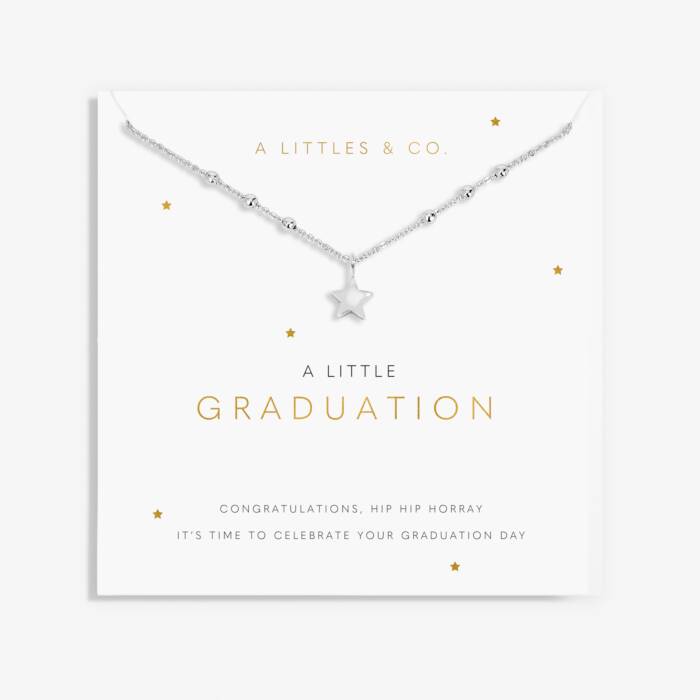 A Little 'Graduation' Necklace In Silver Plating