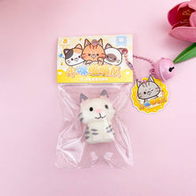Load image into Gallery viewer, Super Soft PU Realistic Cartoon Cat Squeeze Toy