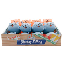 Load image into Gallery viewer, Farm Fresh Chubby Kitties, 3 Inch, Assorted Squishy Toy