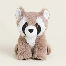 Load image into Gallery viewer, Raccoon Warmies Junior