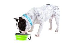 Load image into Gallery viewer, Pupware Collapsible Doggie Dish