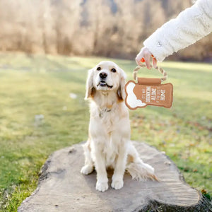 Dog Is Home - 8" Canvas Dog Toy On Rope