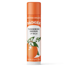 Load image into Gallery viewer, Classic Lip Balm