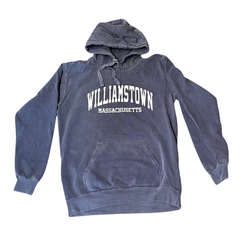 Navy Williamstown hoody by Comfort Colors