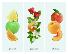 Load image into Gallery viewer, Zero Waste Laundry Detergent Sheets (Ocean Breeze)