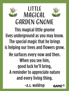 Little Magical Garden Gnome Pocket Charm