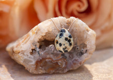 Load image into Gallery viewer, Dalmatian Jasper Soul-Full of Light Necklace for Glee SFOL34