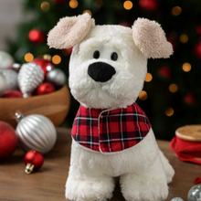 Load image into Gallery viewer, Winter Chic Ralph