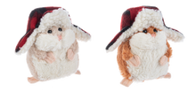 Load image into Gallery viewer, Flapjacks Li&#39;l Hamsters