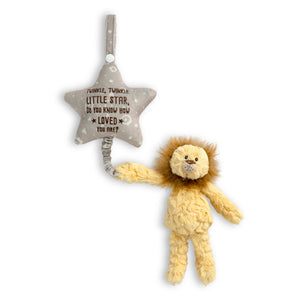 Musical Pull Toy