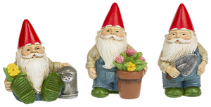 Gnome Art Rock