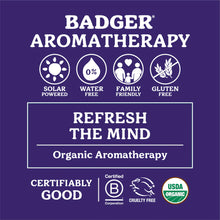 Load image into Gallery viewer, Aromatherapy Travel Kit