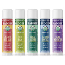 Load image into Gallery viewer, Aromatherapy Travel Kit