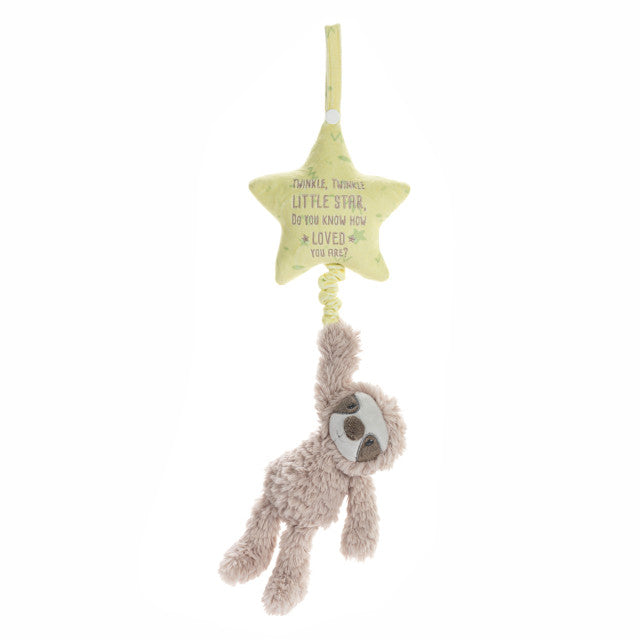 Musical Pull Toy