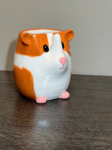Guinea Pig Hold All/Planter