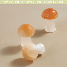 Load image into Gallery viewer, Selenite Mushroom Large with Peach Cap