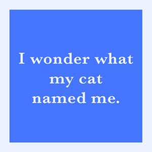 Cat Named Me