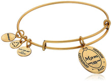 Load image into Gallery viewer, Alex and Ani Because I love you, Mom II Expandable Rafaelian Bracelet